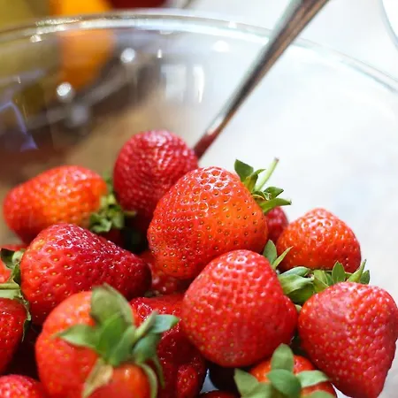 Bellavista Szálloda Locarno