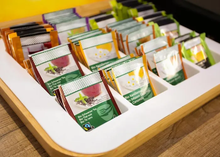 호텔 Bellavista 로카르노